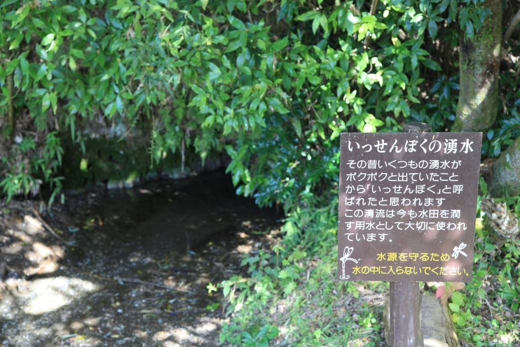 201602050118瑠菜満月_木更津