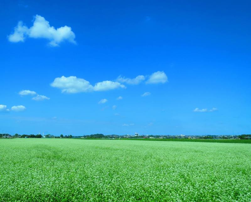 201602211021瑠菜満月_市原