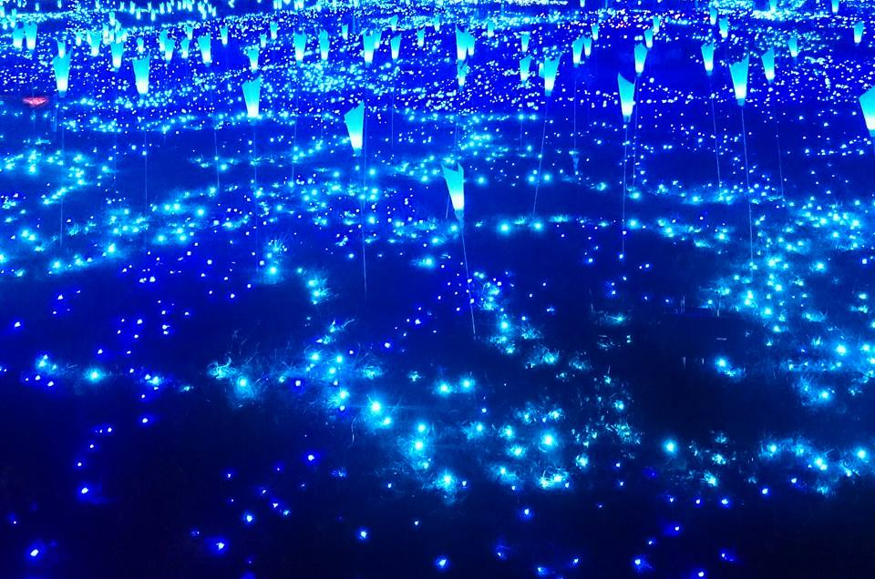 201602172030上野原貴_富津