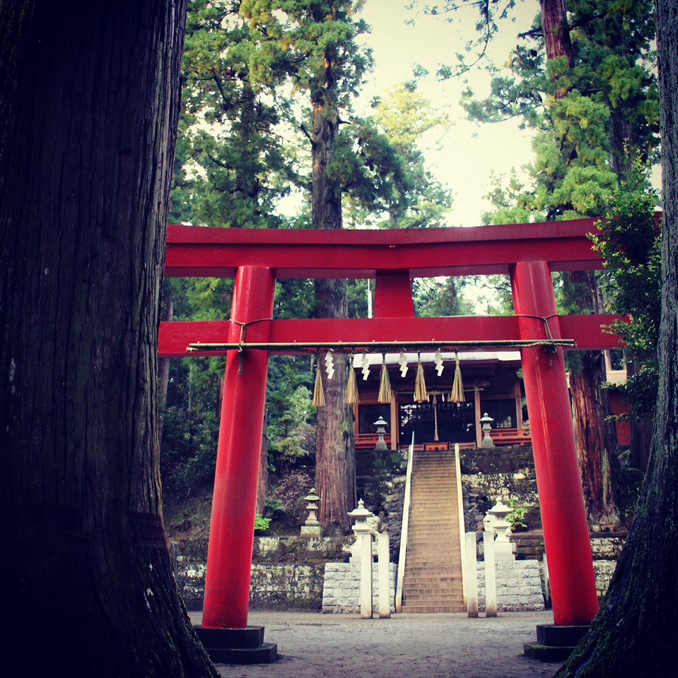 201512291014菊澤よしえ_君津