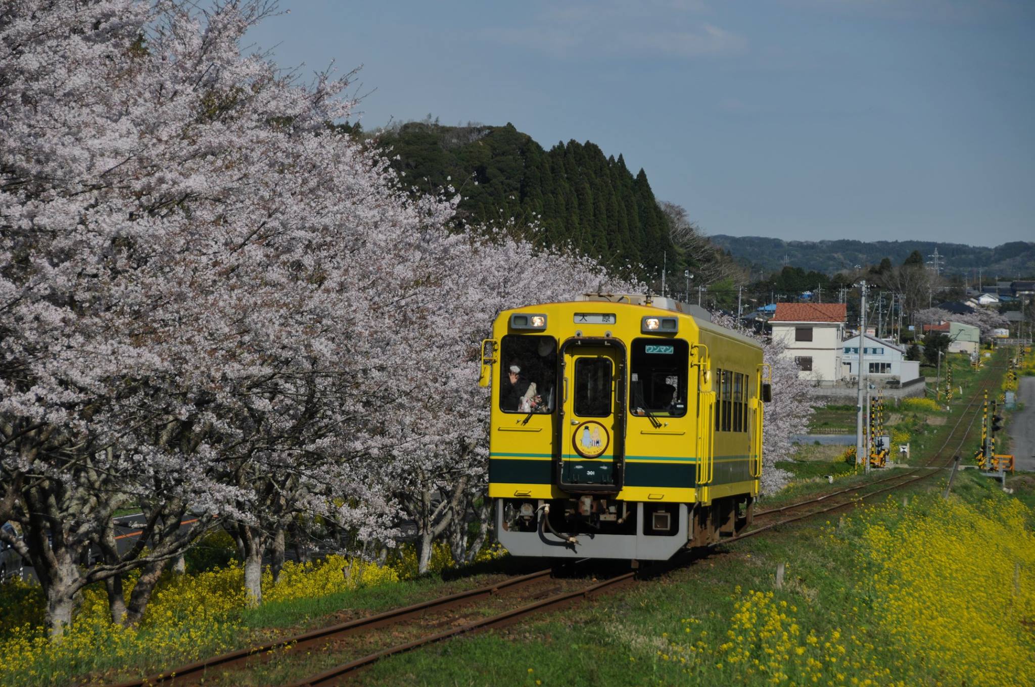 201602110525川田光浩_いすみ