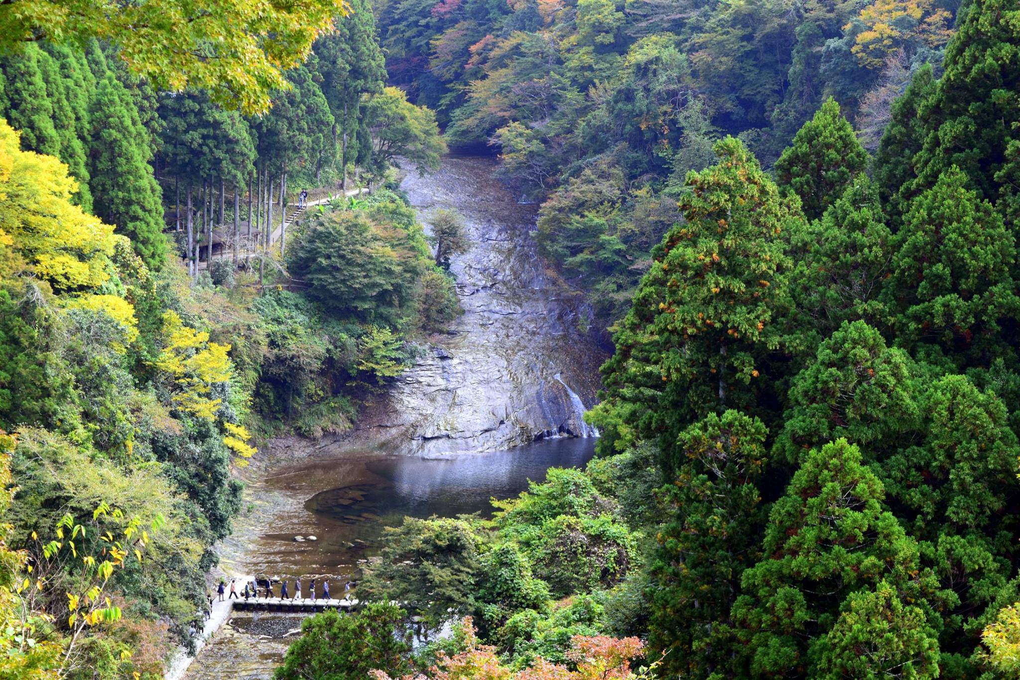 201603032152近藤和久_市原