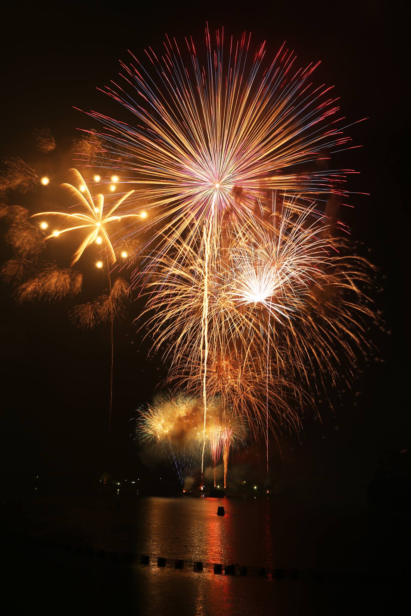 201602212010茂木健一_君津