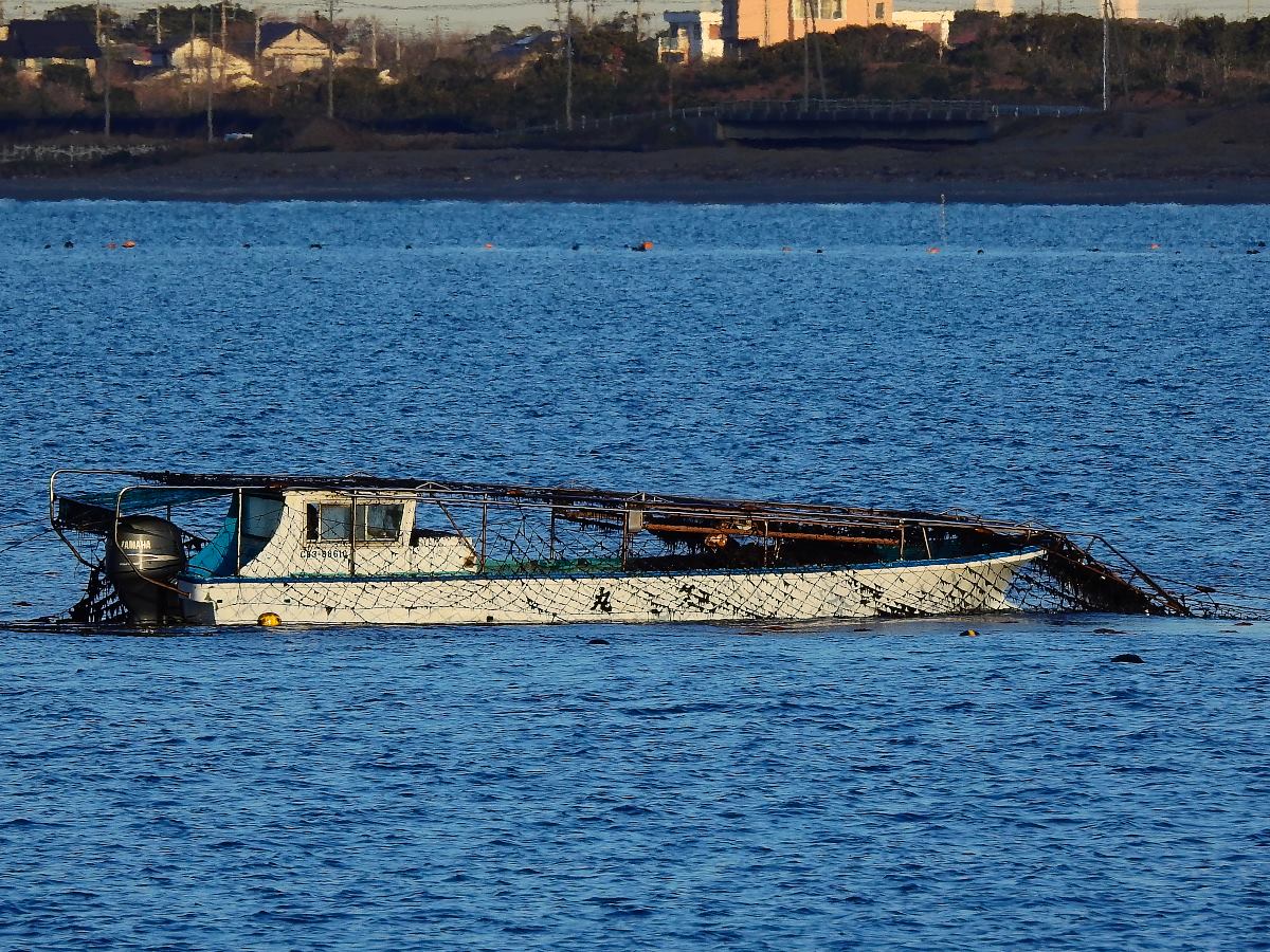 201602132056斎藤孝1_富津