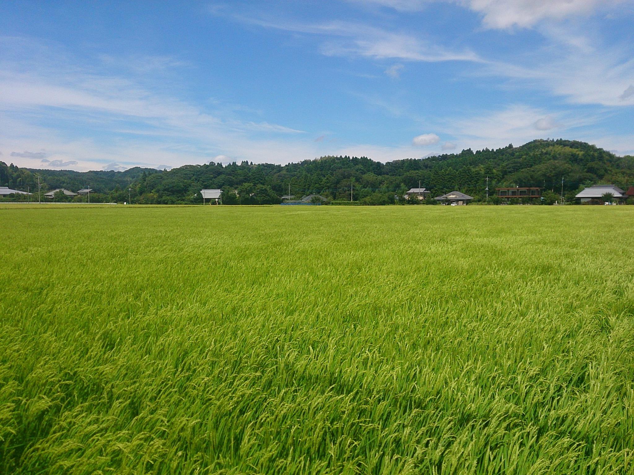 201602092019内田貞文_大多喜