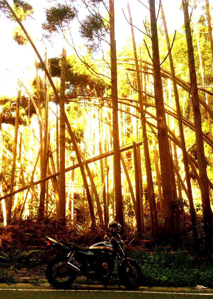 201602171933下條和孝_いすみ