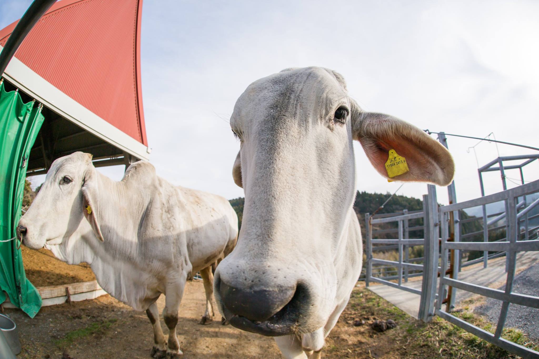 201602062155渡邉一雅_南房総