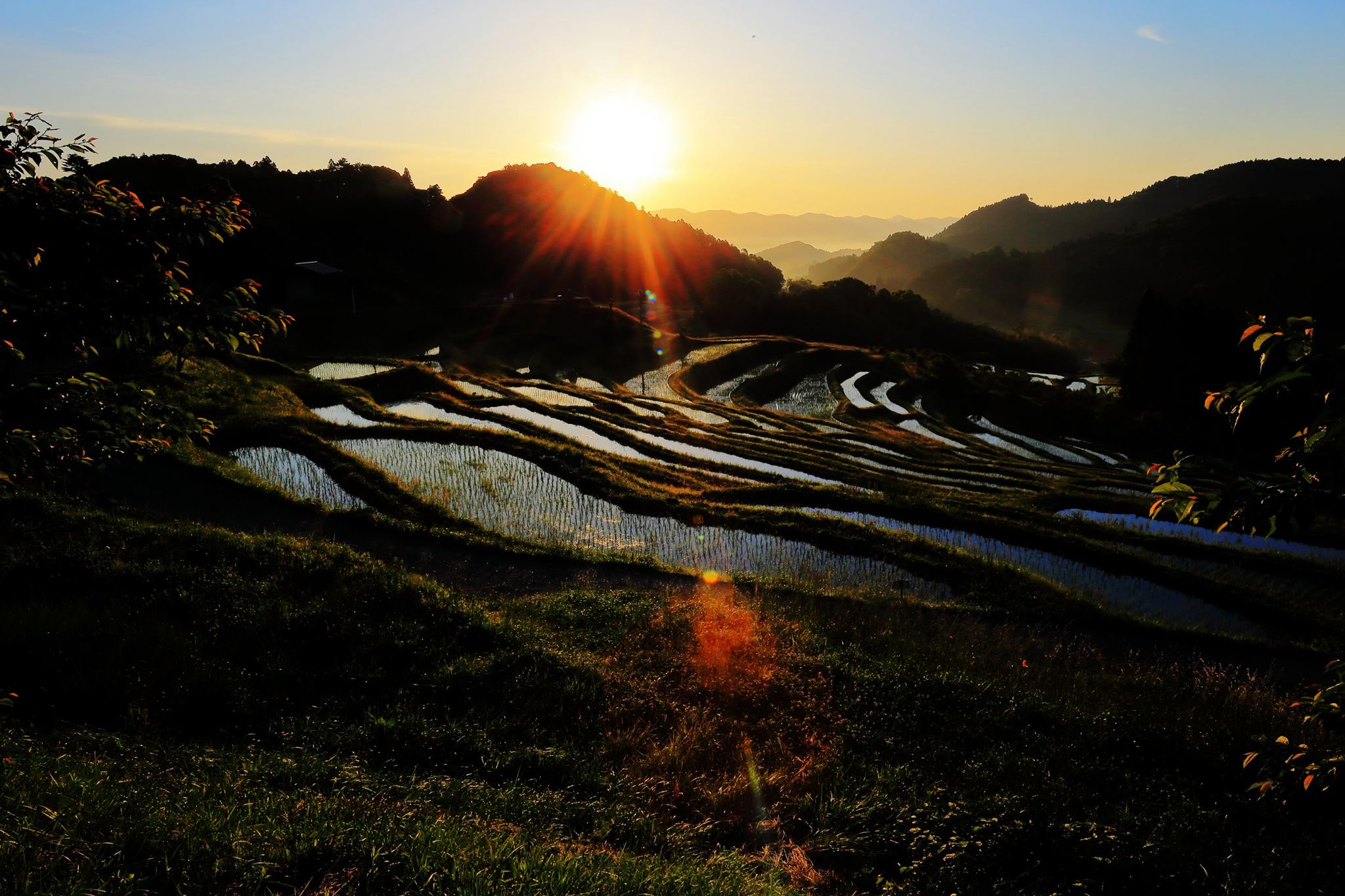 201602051443大沢二郎_鴨川