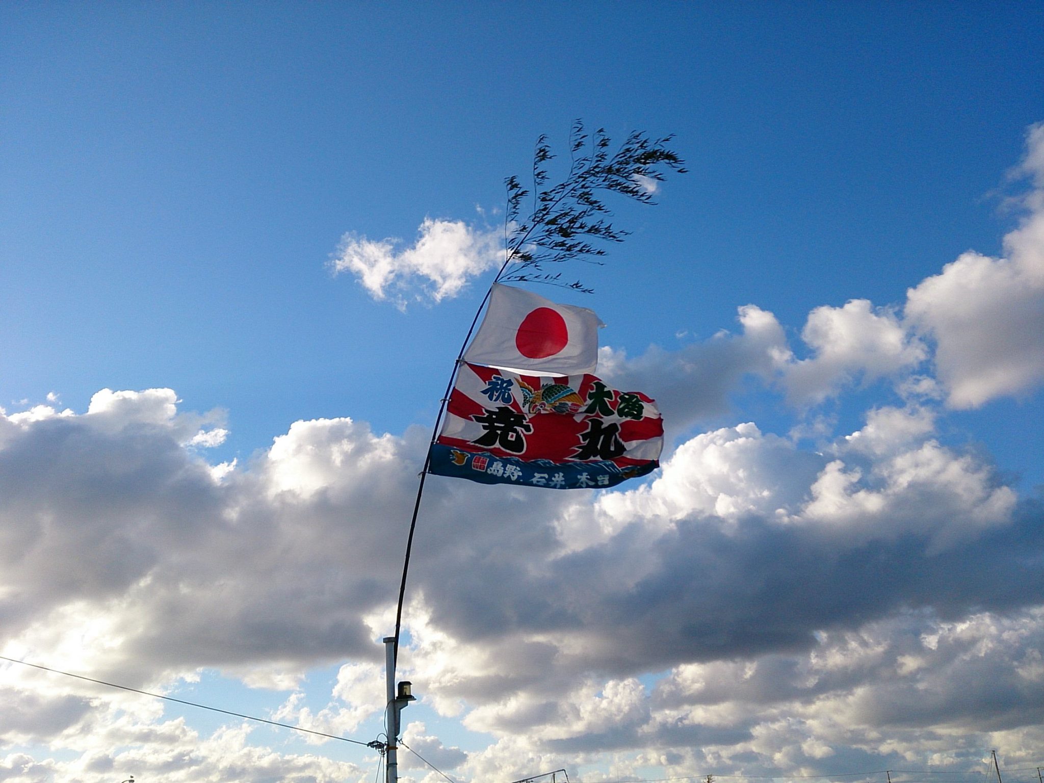 201602070904内田貞文_南房総