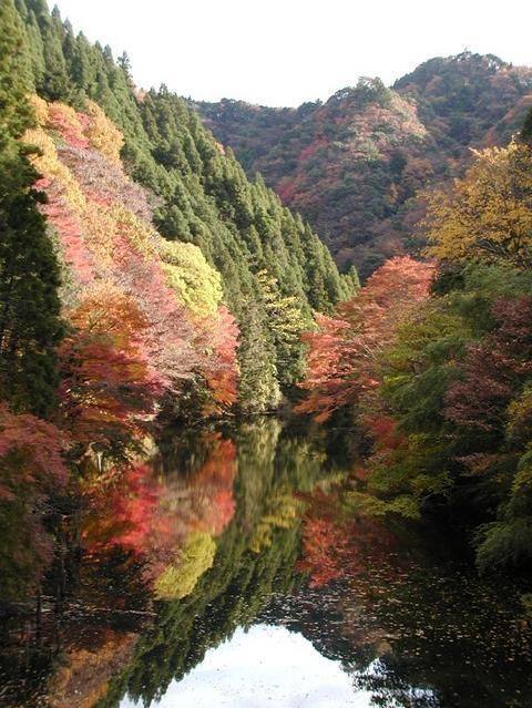 201602042307瑠菜満月_鴨川