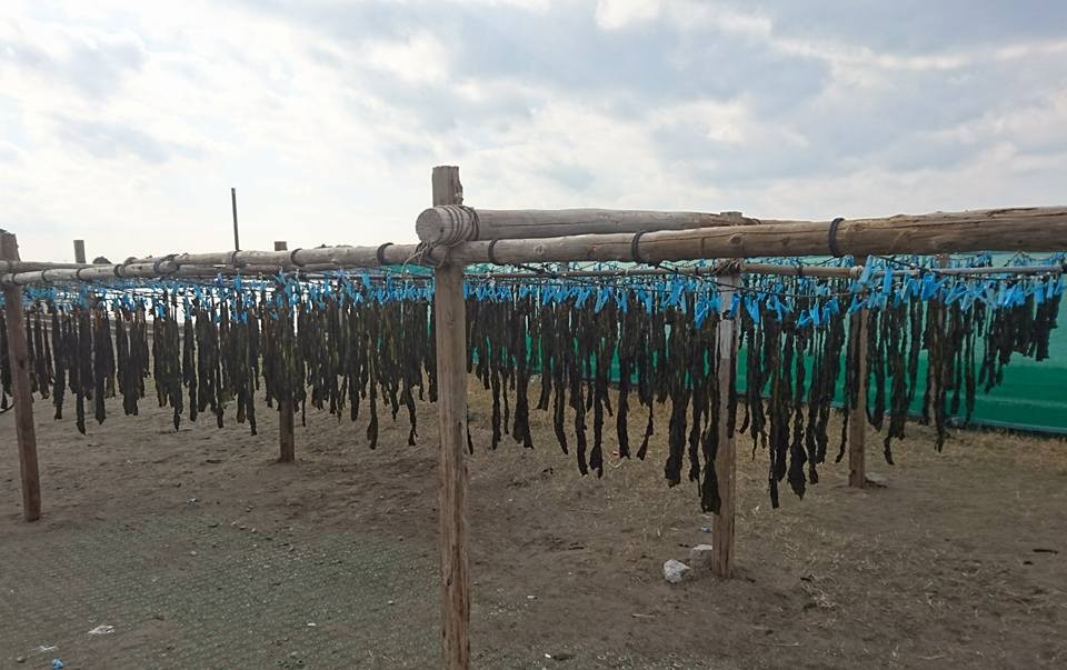 201602041341清水一成_鋸南