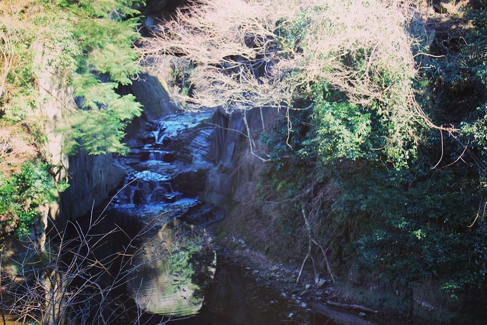 201602102130菊澤よしえ_君津