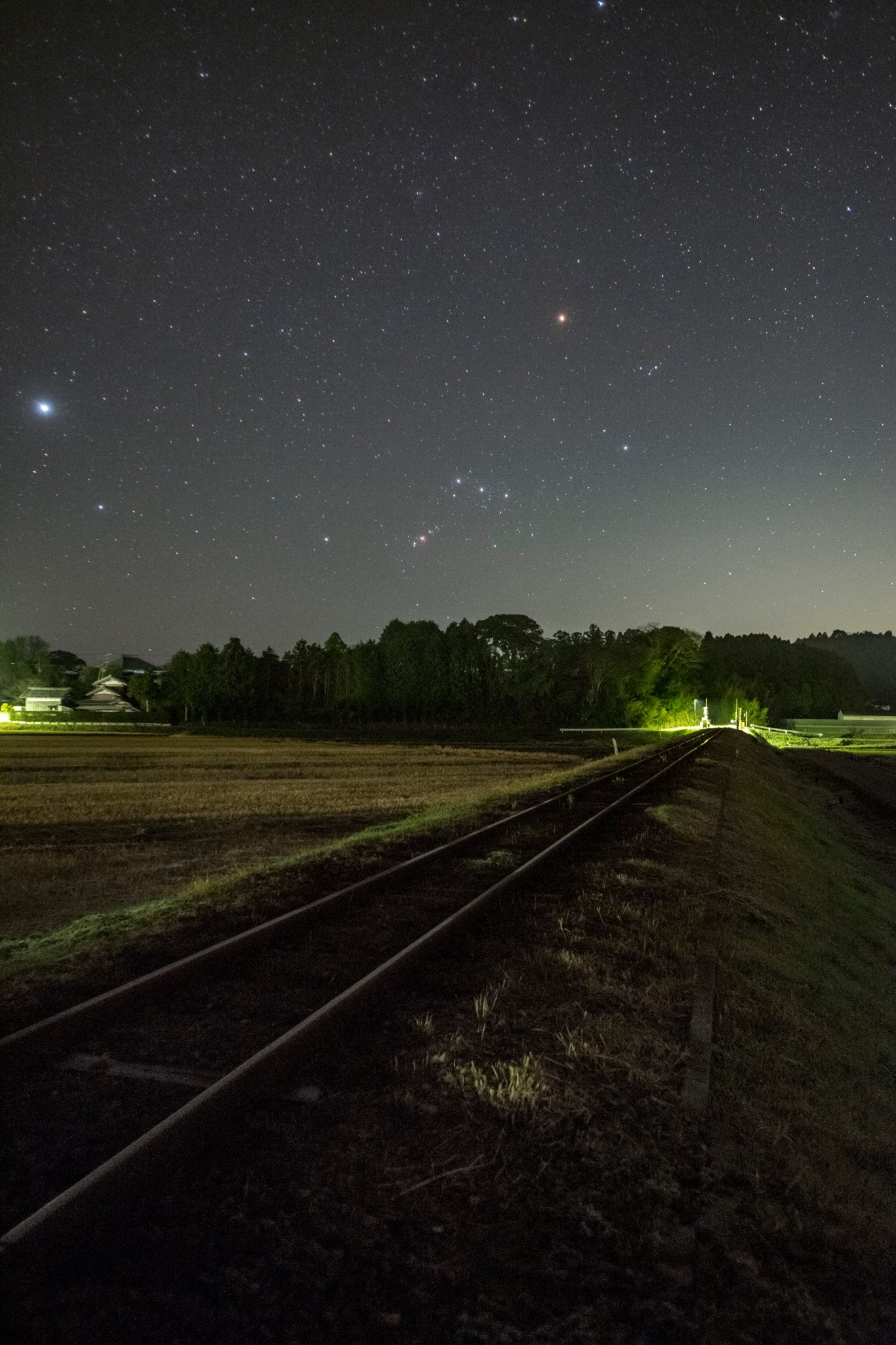 201603030131豊田紀子_いすみ
