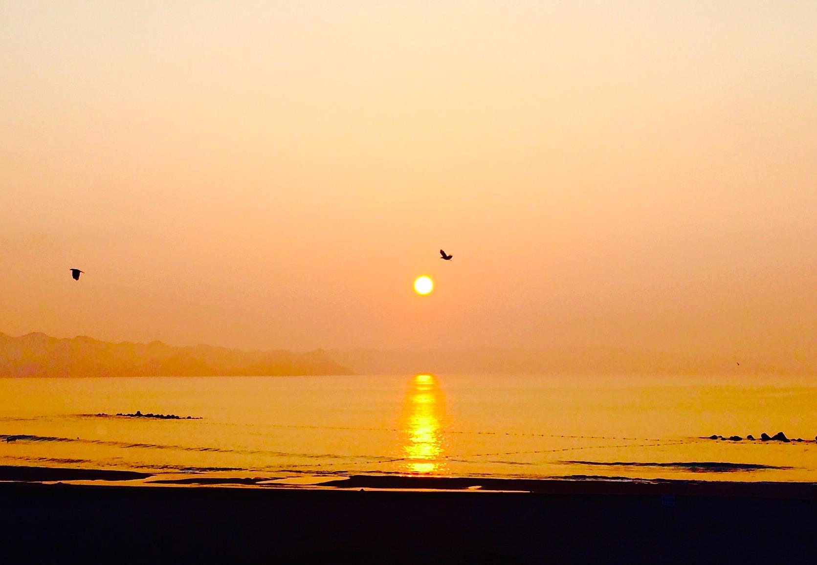 201601221119hiromichioyama_鴨川