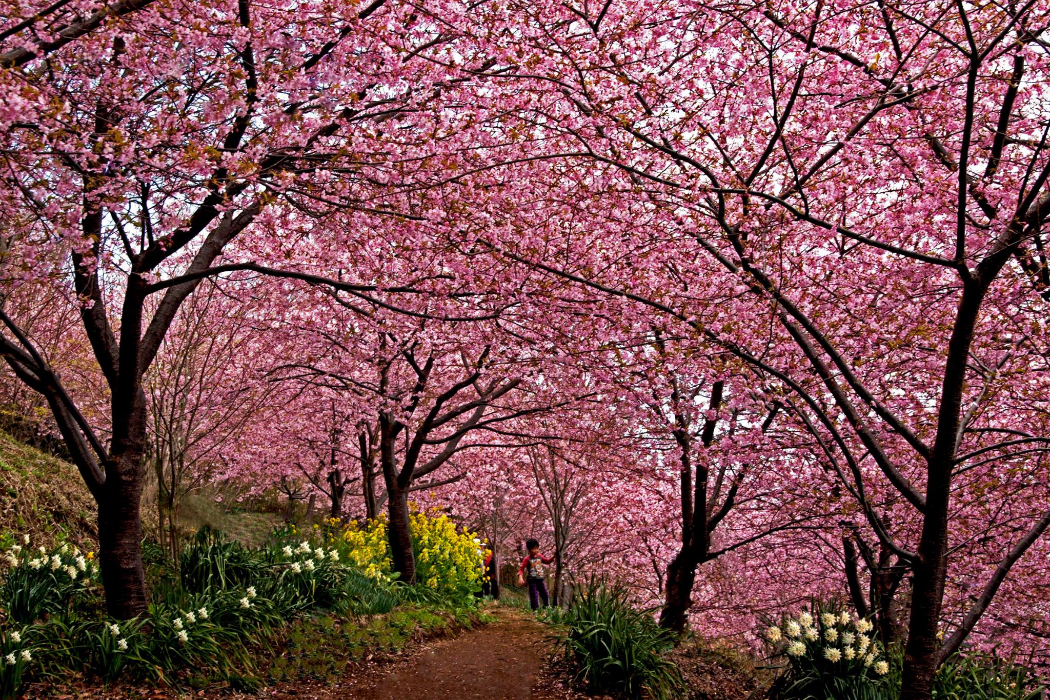 201602152226日向喜一郎_君津