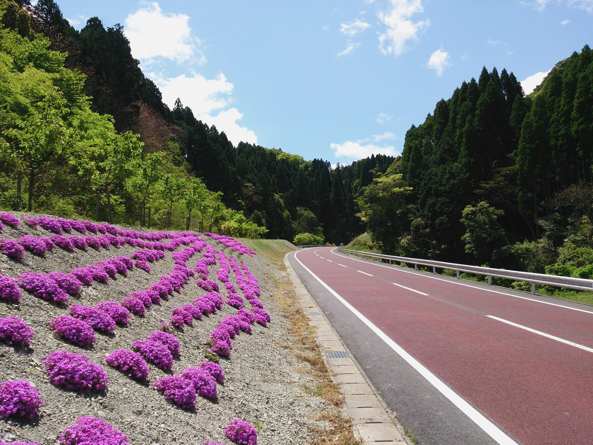 201602112013内田貞文_大多喜