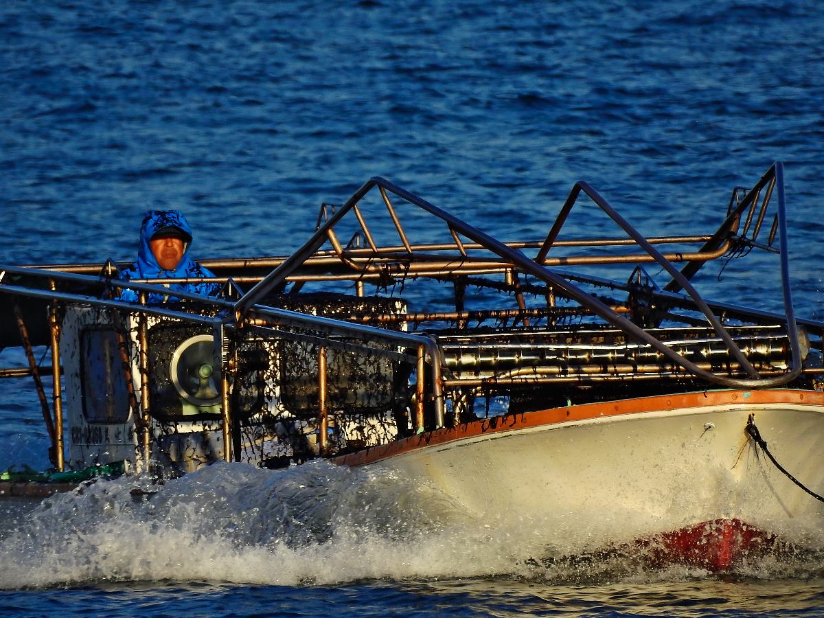 201602132056斎藤孝2_富津