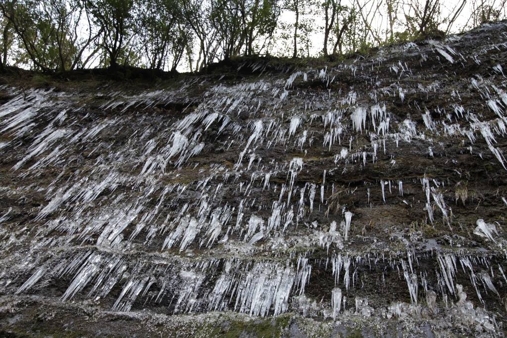 201602050017瑠菜満月_市原