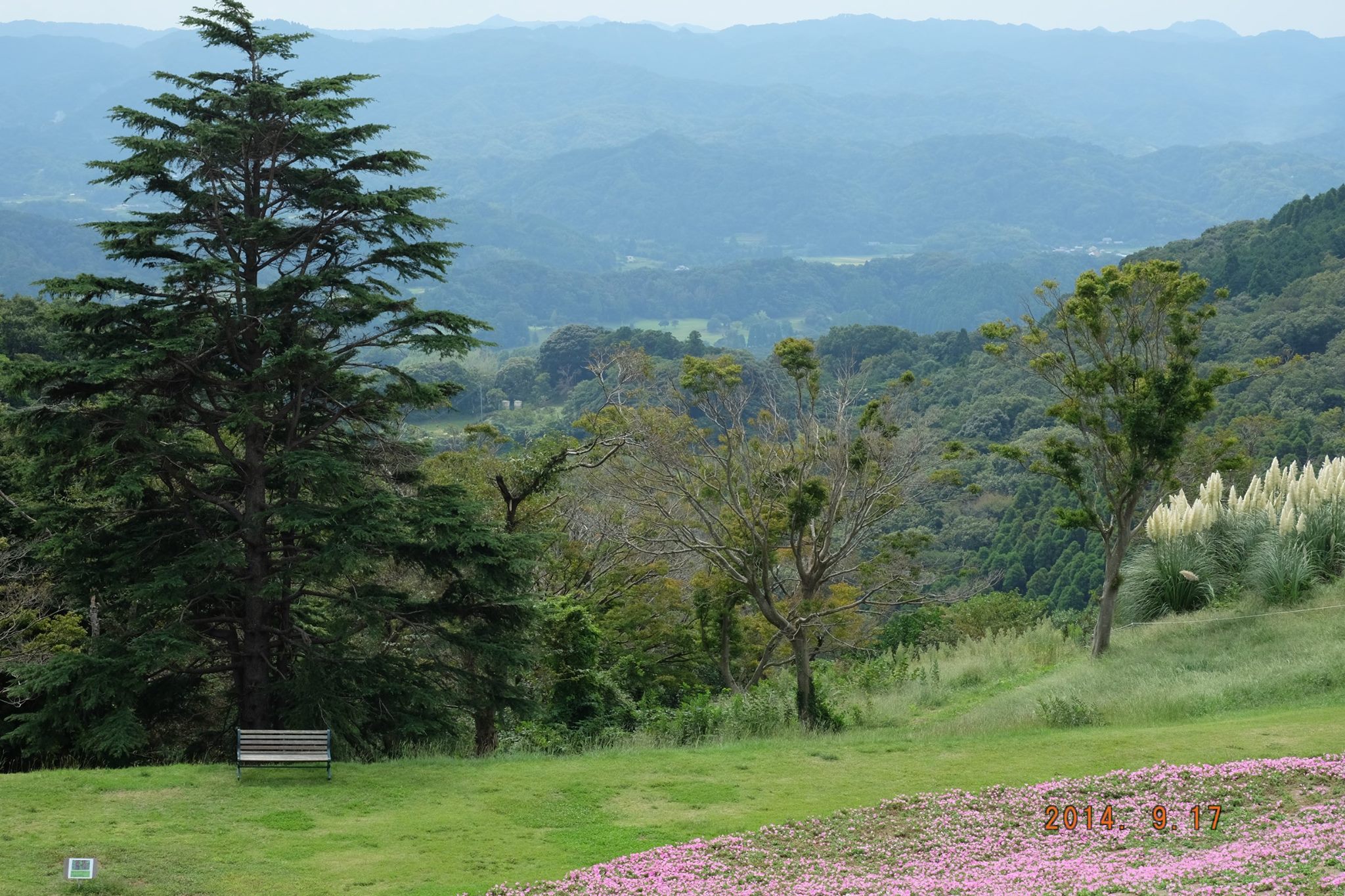 201602231942植草操1_富津