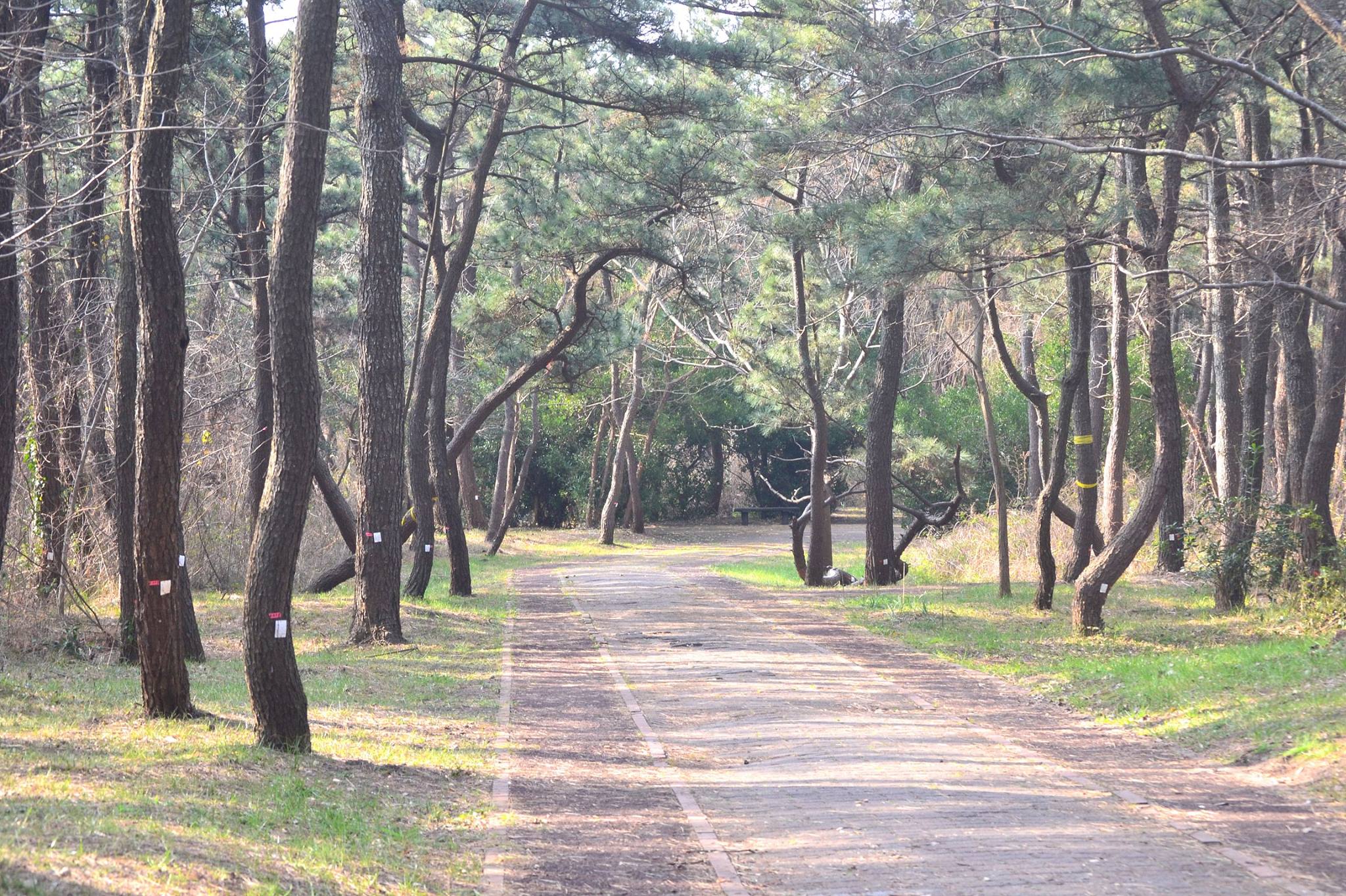 201602141405AtsuyoshiAsano_富津