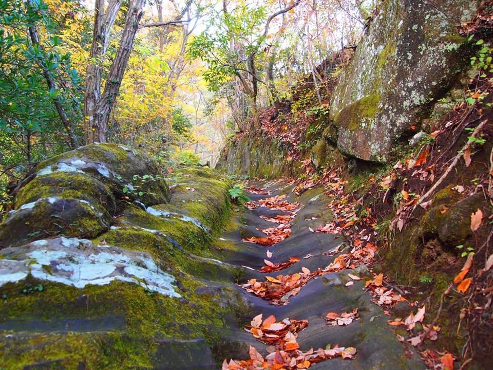 201411060712masatoshiakai_君津